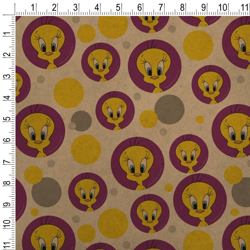 Looney Tunes Tweety Bird Premium Kraft Gift Wrap Wrapping Paper Roll