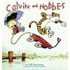 Calvin and Hobbes
