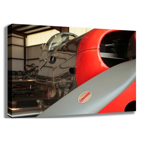 Daylily Dreams Airplane Canvas Print