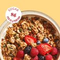 thumbnail image 3 of Prana Organic GRANOLOVE – Oatmeal Cookie Crunch Organic Granola | Gluten Free | Organic | Vegan | Non-GMO | Kosher, 32 oz (907 g), 3 of 5