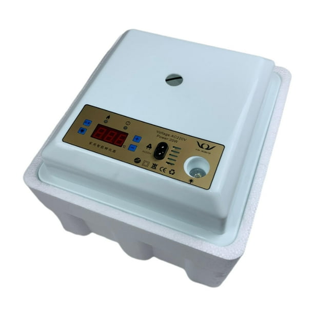 de huevos Control de temperatura s de pollos para incubar de pollo 20 huevos Zulema huevos de gallina para incubar