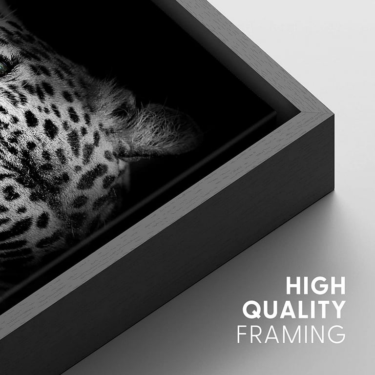 Leopard Close Up Black and White Leopard Pictures Wall Decor