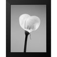 thumbnail image 2 of PhotoINC Studio 12x14 Black Modern Framed Museum Art Print Titled - Calla No. 2, 2 of 5