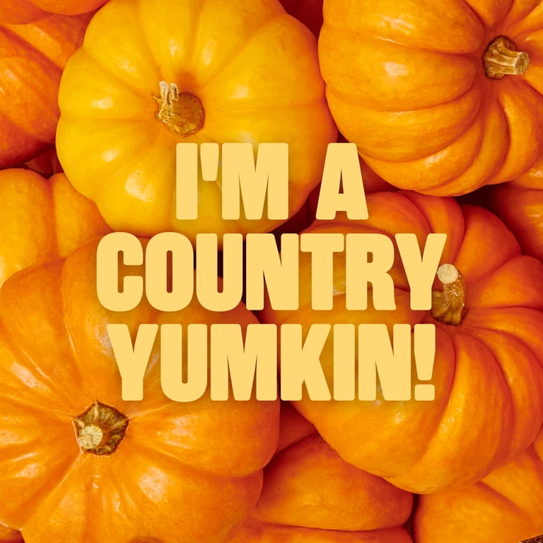 Noosa Yoghurt, Whole Milk Yogurt, Velvety Smooth & Creamy, Pumpkin