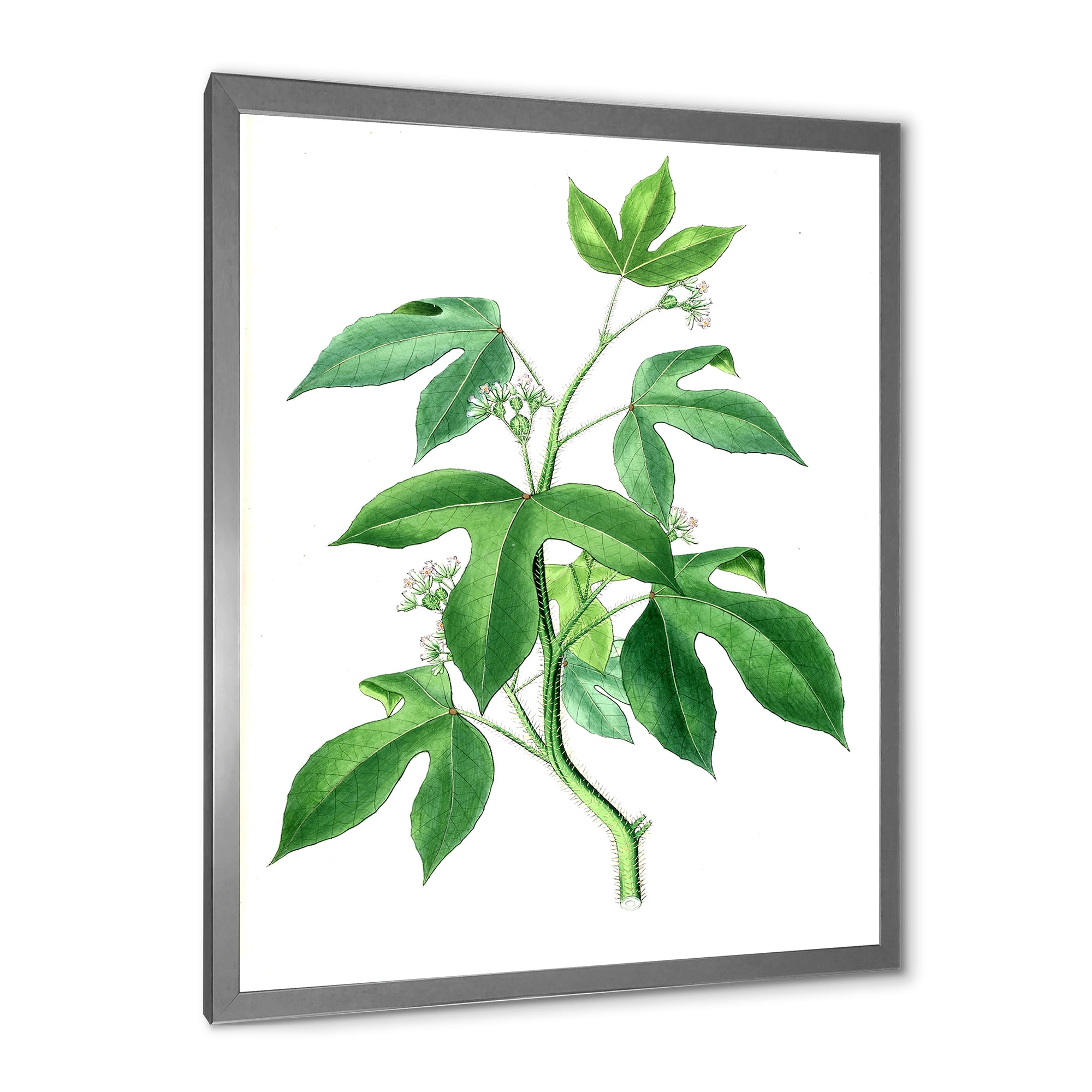 Designart 'Ancient Green Leaves Plants V' Traditional Framed Art Print
