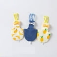 thumbnail image 3 of Pet Bird Pants Washable Reusable For Small Birds L，M，S，XS Size，Cute For Mini Rabbit Puppy Male Small Dog for Dogs Female Dog Reusable Female Bed for Girl Dogs Small Dog Underwear Female Disposable, 3 of 3
