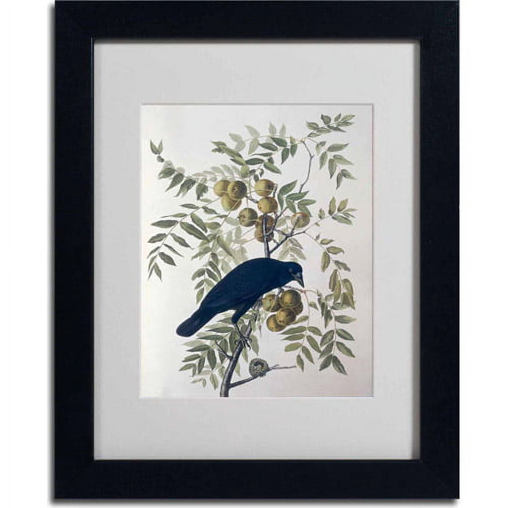 Trademark Fine Art "American Crow" Canvas Art by John James Audubon, Black Frame