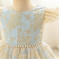 thumbnail image 6 of NAISIBABY Girls Princess Dress 8T, Pearl Waist Lace Ruffles Sleeve Floral Embroidered Birthday Wedding Pageant Formal Dress Light Blue, 6 of 8
