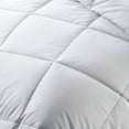 thumbnail image 3 of Eco Life  Natural Cotton Soft BioFill Comforter Twin, 3 of 4