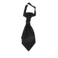 thumbnail image 1 of CSChome Cravate Imprimée pour Hommes - Double Couche Vintage Formelle Cravate en Satin Imprimé, 1 of 7