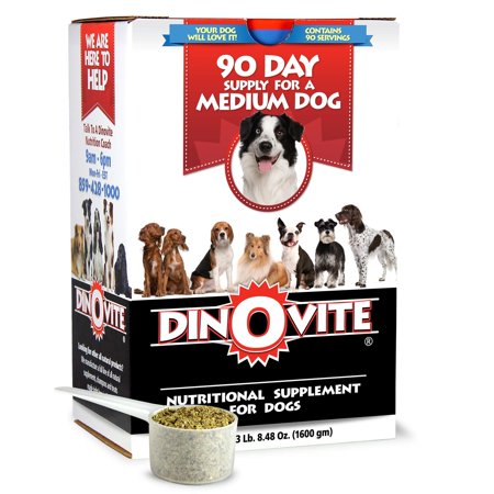 UPC: 0838700001061 | Dinovite Dog Supplement – Immune + Digestive  Skin + Coat Support  90 day supply