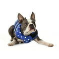 thumbnail image 5 of Seachoice Dog Life Vest, Adjustable Life Jacket For Dogs, w/ Grab Handle, Blue Polka Dot, Size Small, 15-20 Lbs., 5 of 5