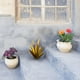 thumbnail image 4 of Xihbxyly Escultura de Planta de Tequila de Hierro, Diseño Único Artesanal, Estilo Agave con Detalles En Azul, Elegante Decoración para Jardín, Uso Interior y Exterior, 35 Cm de Altura, Arte Personali, 4 of 4