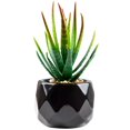 thumbnail image 1 of Artificial Succulent Plant Mini - Plastic Greenery Decoration Faux Potted Plant, 1 of 5