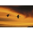 thumbnail image 2 of Anon, Josh 32x23 Gold Ornate Wood Framed with Double Matting Museum Art Print Titled - New MexicoTwo sandhill cranes flying at sunset, 2 of 4