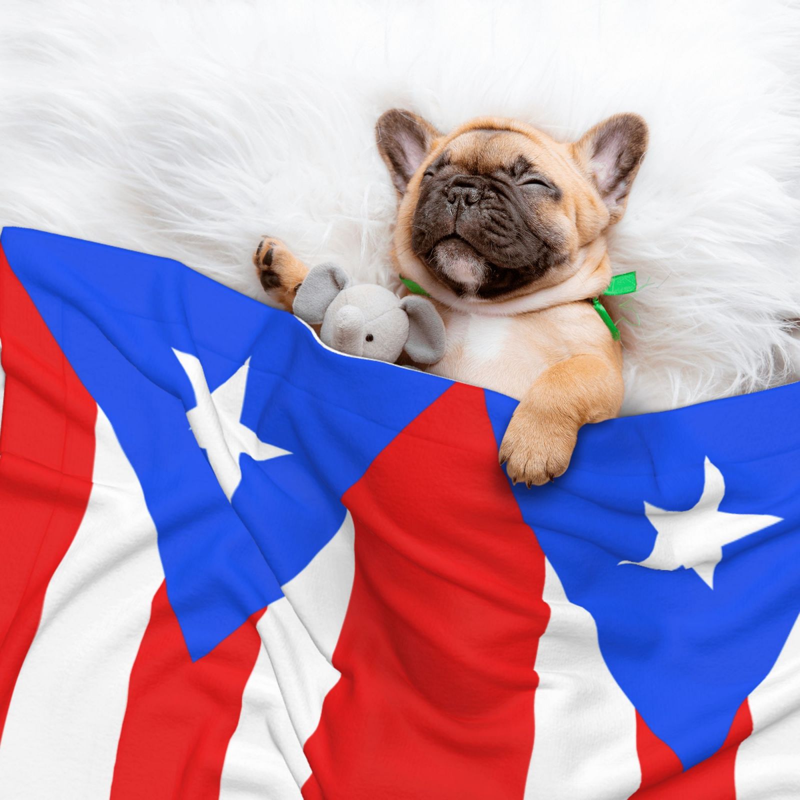 Flannel Throw Dog Blanket Pr Puerto Rico-Flag Soft Warm Print Pet Blankets for Small Dog Cat Puppy