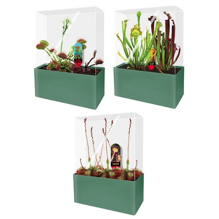 

Meat Eating Plant Experiment Lab | Become the Botanical Boss of Meat-Eating Plants