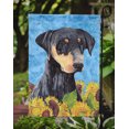 thumbnail image 3 of Carolines Treasures SC9073GF Doberman Flag Garden Size, 3 of 3