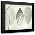 thumbnail image 1 of Sophie 6 12x12 Black Modern Framed Museum Art Print Titled - Columbian Forest II, 1 of 5
