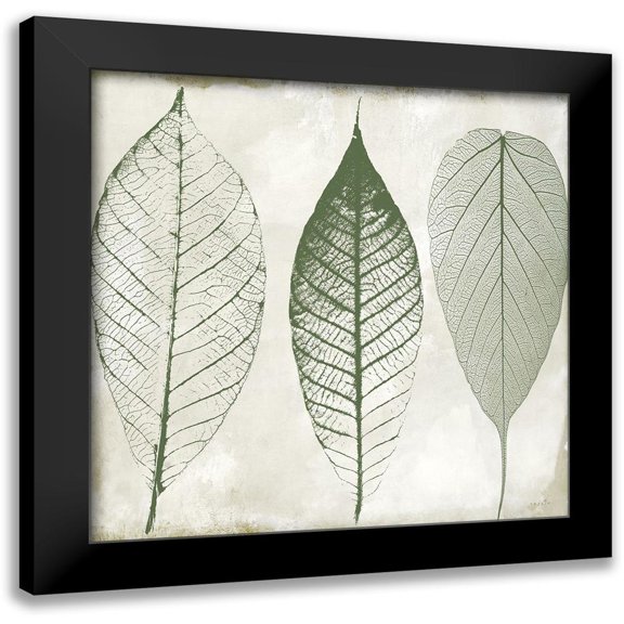 Sophie 6 12x12 Black Modern Framed Museum Art Print Titled - Columbian Forest II