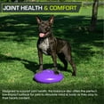 thumbnail image 5 of ProsourceFit Core Balance Disc Trainer, 14" Diameter with Pump, 5 of 6