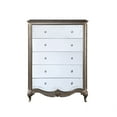 thumbnail image 2 of ACME Esteban Chest in Antique Champagne Silver Finish, 2 of 5