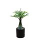 thumbnail image 2 of Luces LED de ramitas - Luz nocturna blanca cálida alimentada por USB • 30 LED • IP44 impermeable • Decoración artificial para plantas de 45-50cm, 2 of 7