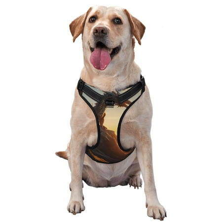 Gaeub Seaside Sunset Cool Dragon Print No Pull Dog Harness for Medium Dogs Dog Vest Harness with Leash and Reflective Strip Adjustable Harne-X-Large