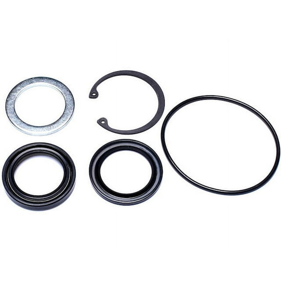 Steering Gear Pitman Shaft Seal Kit - Compatible with 1988 - 1999 Chevy C1500 1989 1990 1991 1992 1993 1994 1995 1996 1997 1998