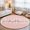 Pink, variant on 3'x5' Area Rugs, Blue Fall Pumpkins Indoor Outdoor Area Rug for Living Room Bedroom, Thanksgiving Autumn Modern Plaid Washable Bathroom Rugs Kitchen Floor Carpet Mats Home Decor Aesthetic