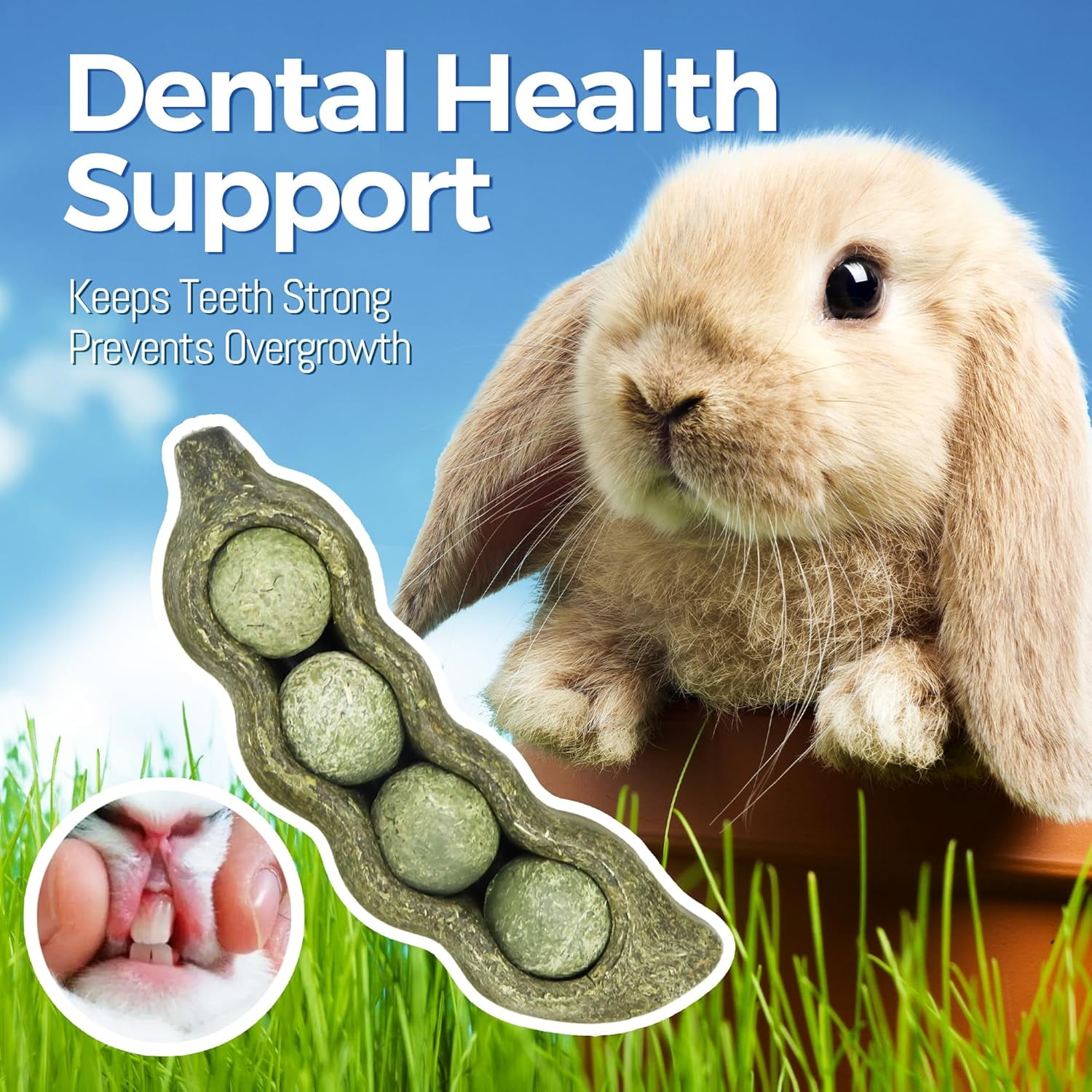 3PCS Guinea Pig Chew Toys, Prevent Teeth Overgrowth, Natural Vegetables and Timothy Grass, Hamster Chew Toys, Guinea Pig Toys, Chinchilla Toys, Peapod-Shaped
