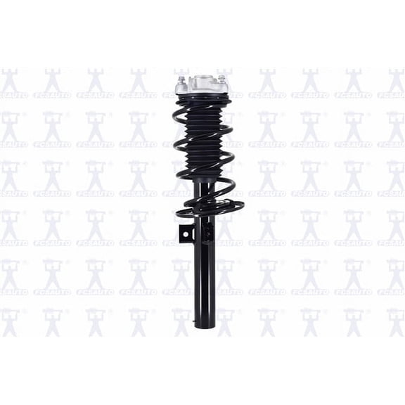 Suspension Strut and Coil Spring Assembly