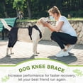 thumbnail image 4 of 2026 New Wag Wize Knee Brace Harness for Dogs,Wag Wize Dog Knee Brace for Torn Acl/Ccl Hind Leg,Wagwize Dog Hip Brace,Adjustable Support,Non-Slip,Breathable,Sufficient Wrapping(XL), 4 of 7