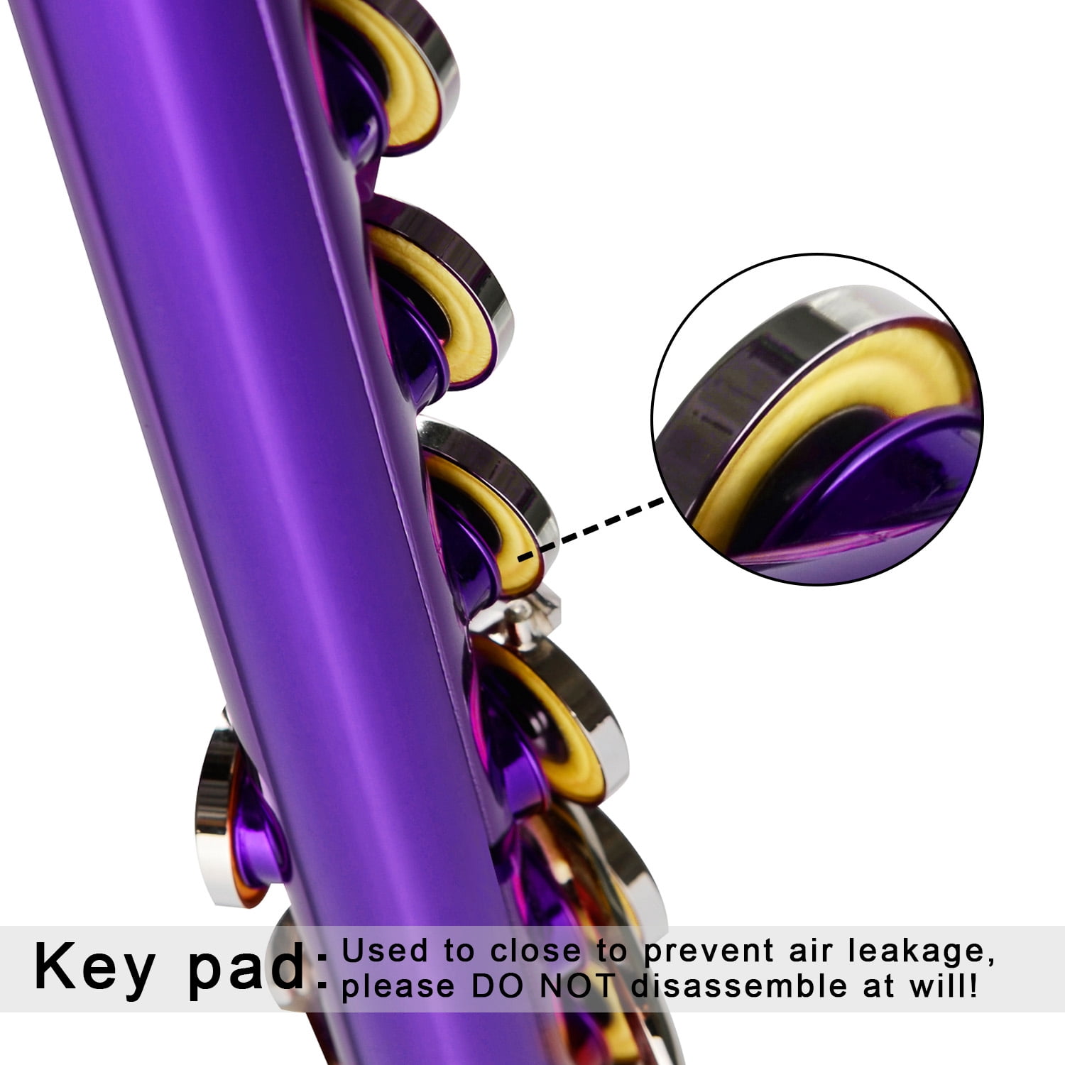 EASTROCK Closed Hole Nickel Plated Flute Soprano Recorder in C 16 with Professional Care Set for School Ensembles and Beginners Purple