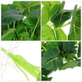 thumbnail image 3 of OULII 5Ud Planta Decorativa Para Acuario Artificial Resistente Y Visual Natural, 3 of 5