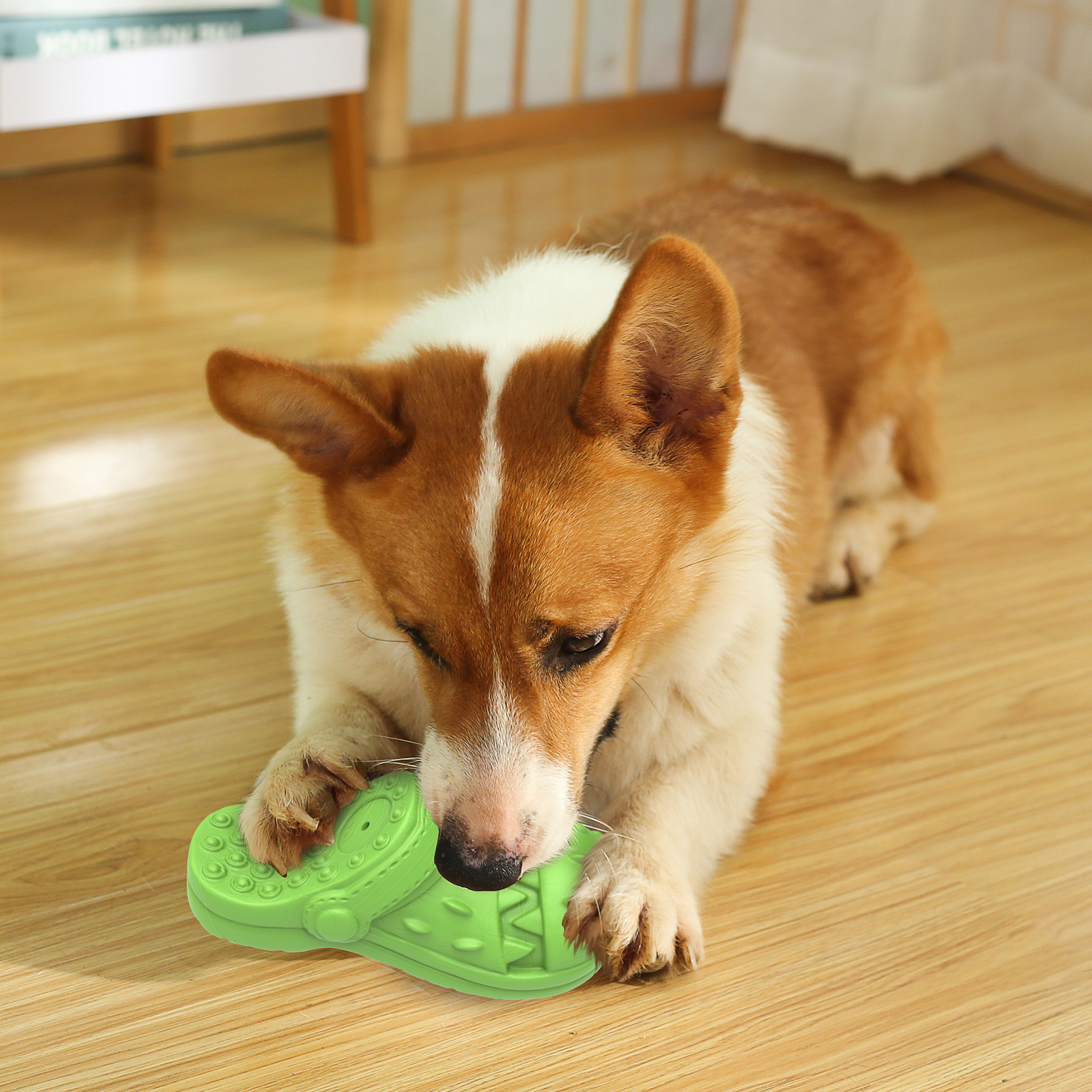 MASBRILL Squeaky Dog Toy Shoe, Beef Flavor photo 8