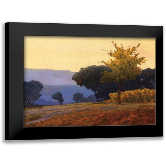 Lovelace, Kent 14x12 Black Modern Framed Museum Art Print Titled - Meadow