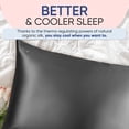 thumbnail image 3 of Blissy Silk Pillowcase - Queen, 3 of 8