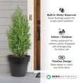 thumbnail image 6 of Tierra Verde 2 Pack Baritone Round Planter, Self Watering Pot, 18"W x 16"H, 6 of 9