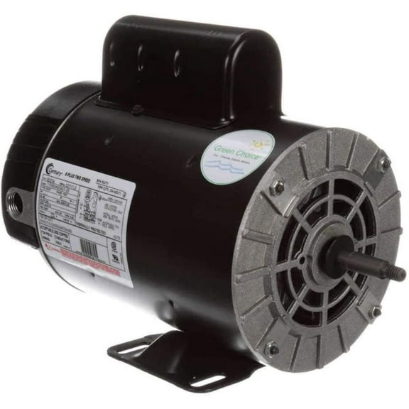 3 HP Thru Bolt Threaded Shaft Horizontal Pool Pump Motor, 1 SF