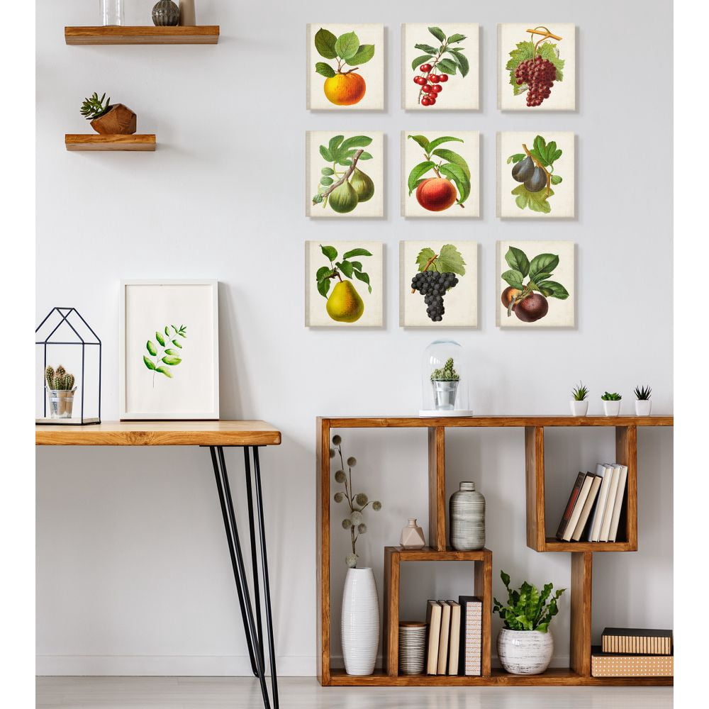 Stupell Industries Vintage Fruits Kitchen Dining Room Painting Designs 9pc Canvas Wall Art Set by Vision Studio