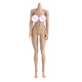 thumbnail image 1 of Figuras de cuerpo de soldado femenino de escala 1/12 de junta de acero engomado XL busto bronceado Sunnimix Figuras de soldado desnudo femenino, 1 of 7