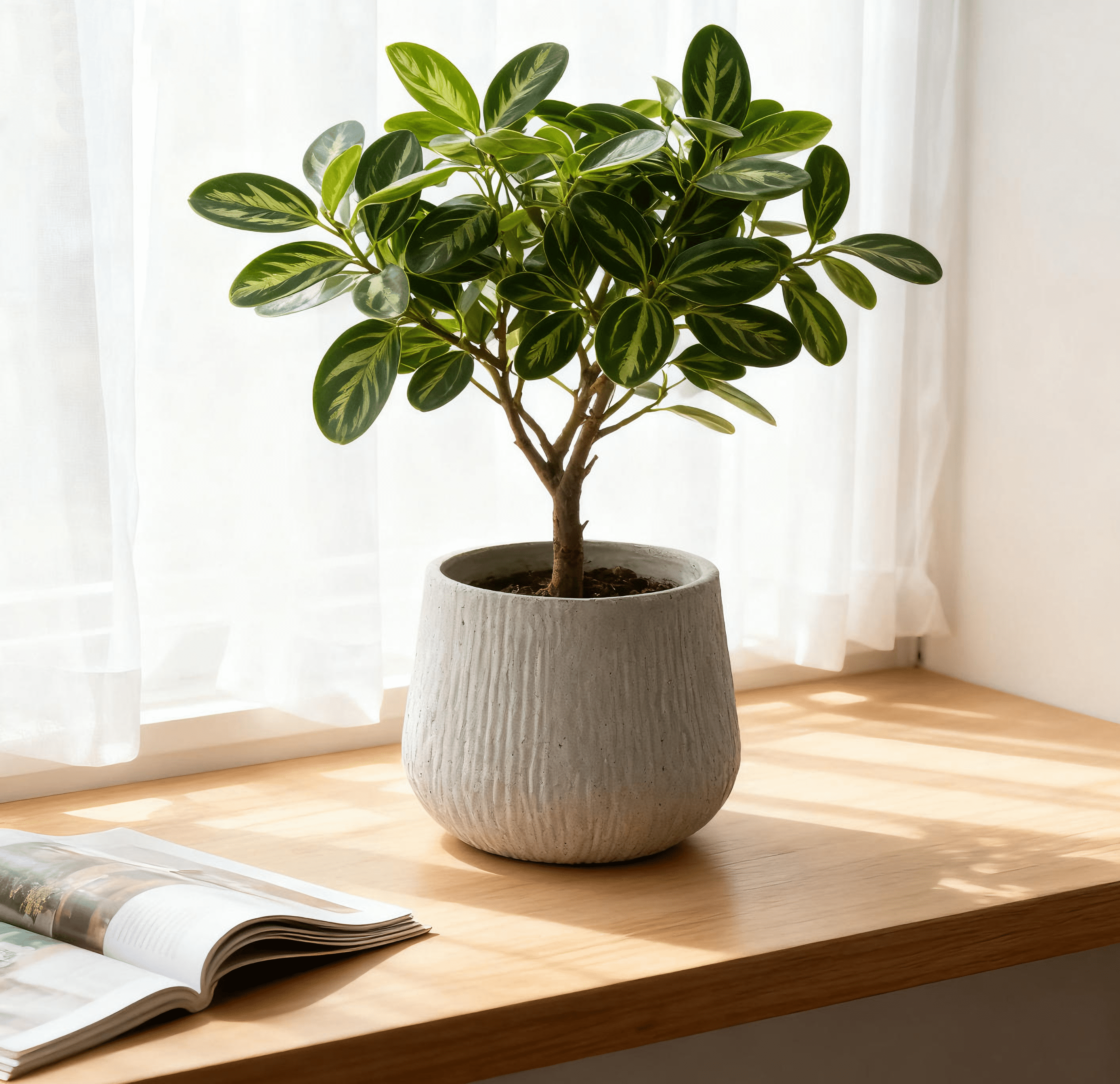 11-Inch Round Magnesium Oxide Planter with Drainage Hole and Cement Texture, Indoor Outdoor Plant Pot for Home and Garden, Light Grey