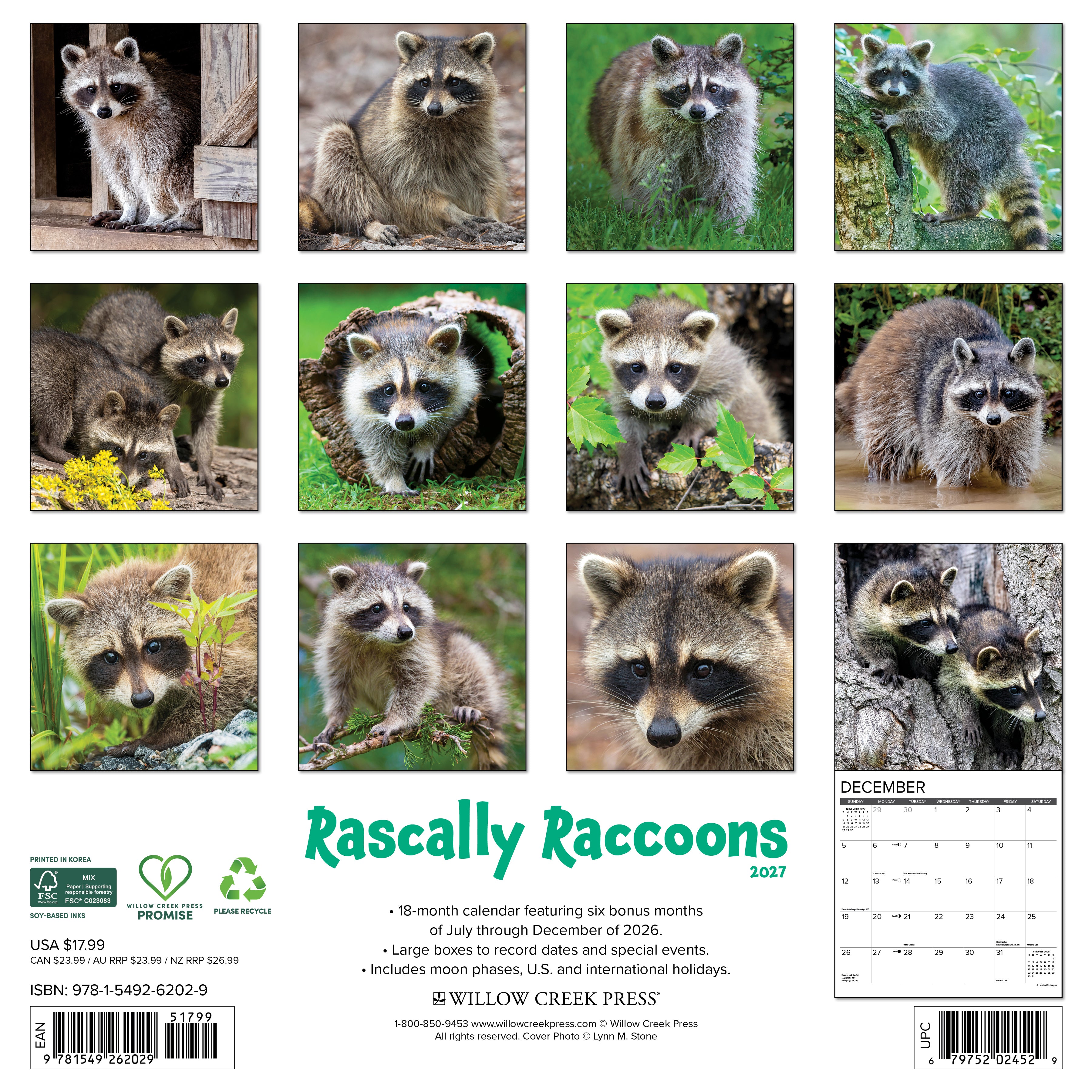 Willow Creek Press, Rascally Raccoons 2027 Wall Calendar