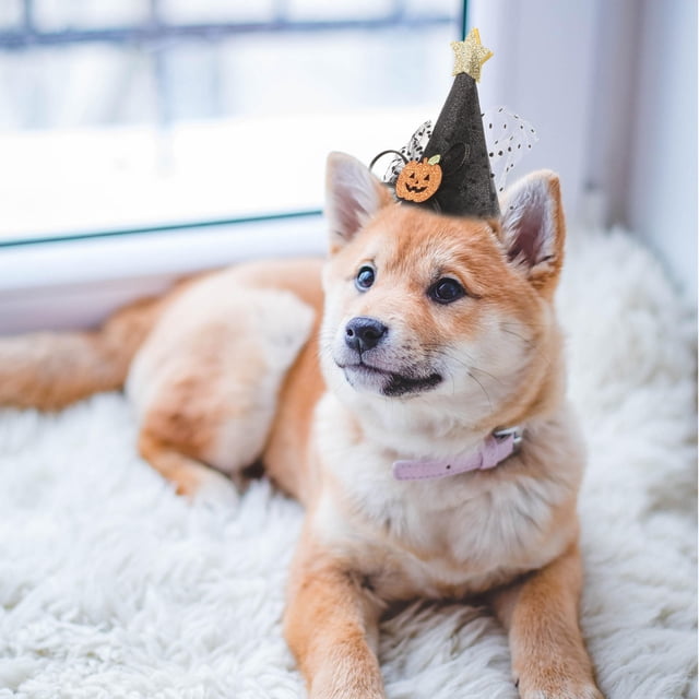 WEUVEB 2Ud Sombrero Ajustable Para Perro Y Con De Calabaza Para Fiesta