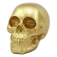 thumbnail image 4 of Pirate's Loot Gold Skull Statue Day Of The Dead Skull Head Gothic Resin Figurine, 4 of 5