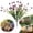 A, variant on Clearance Artificial flowers under $1,Artificial Daffodil Outdoors Flowers Artificial Flowers Outdoors Flowers Plastic Plants Spring Summer Decoration For Home Garden Porch