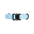 thumbnail image 2 of One Paw, Silicone Dog Collar with Metal Buckle, Water Repellent, Multiple Sizes and Colours, 2 of 11