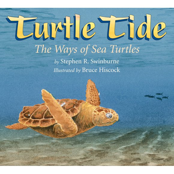 Pre-Owned Turtle Tide: The Ways of Sea Turtles (Paperback) 1590788273 9781590788271
