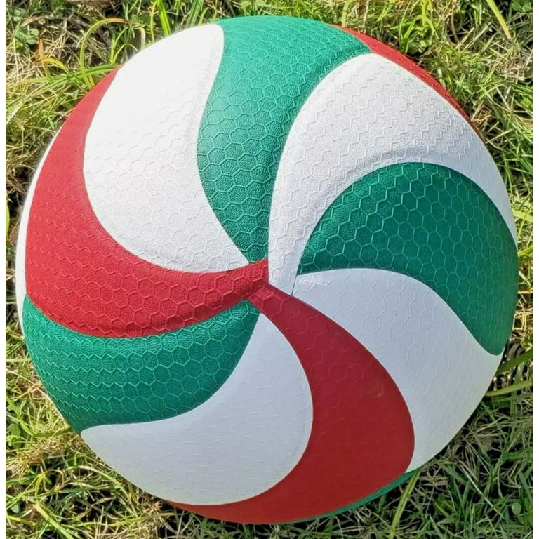 Molten V5M5000 Official Size Leather Volleyball with Soft